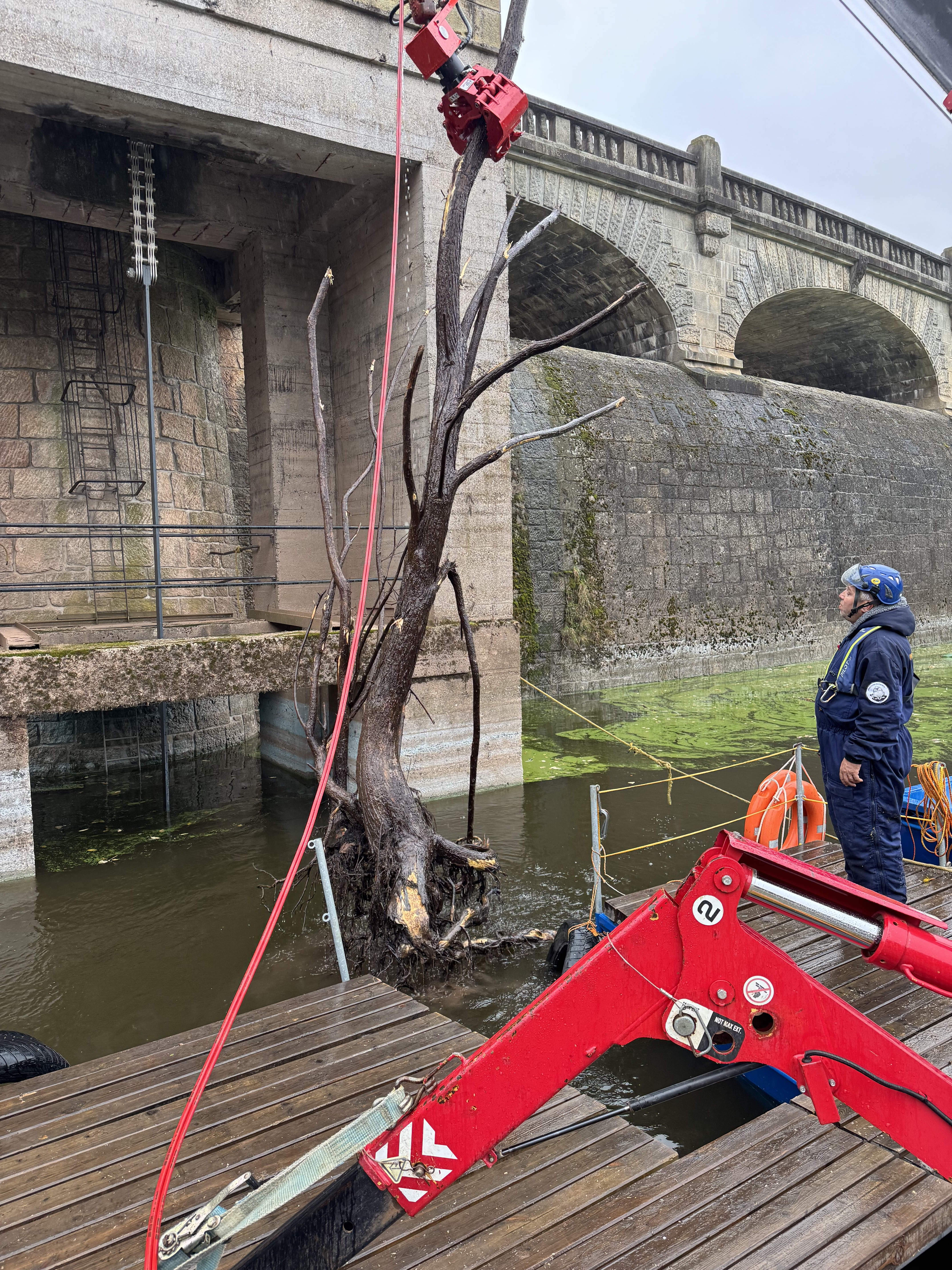 Mezi naplaveninami byly i takřka celé stromy