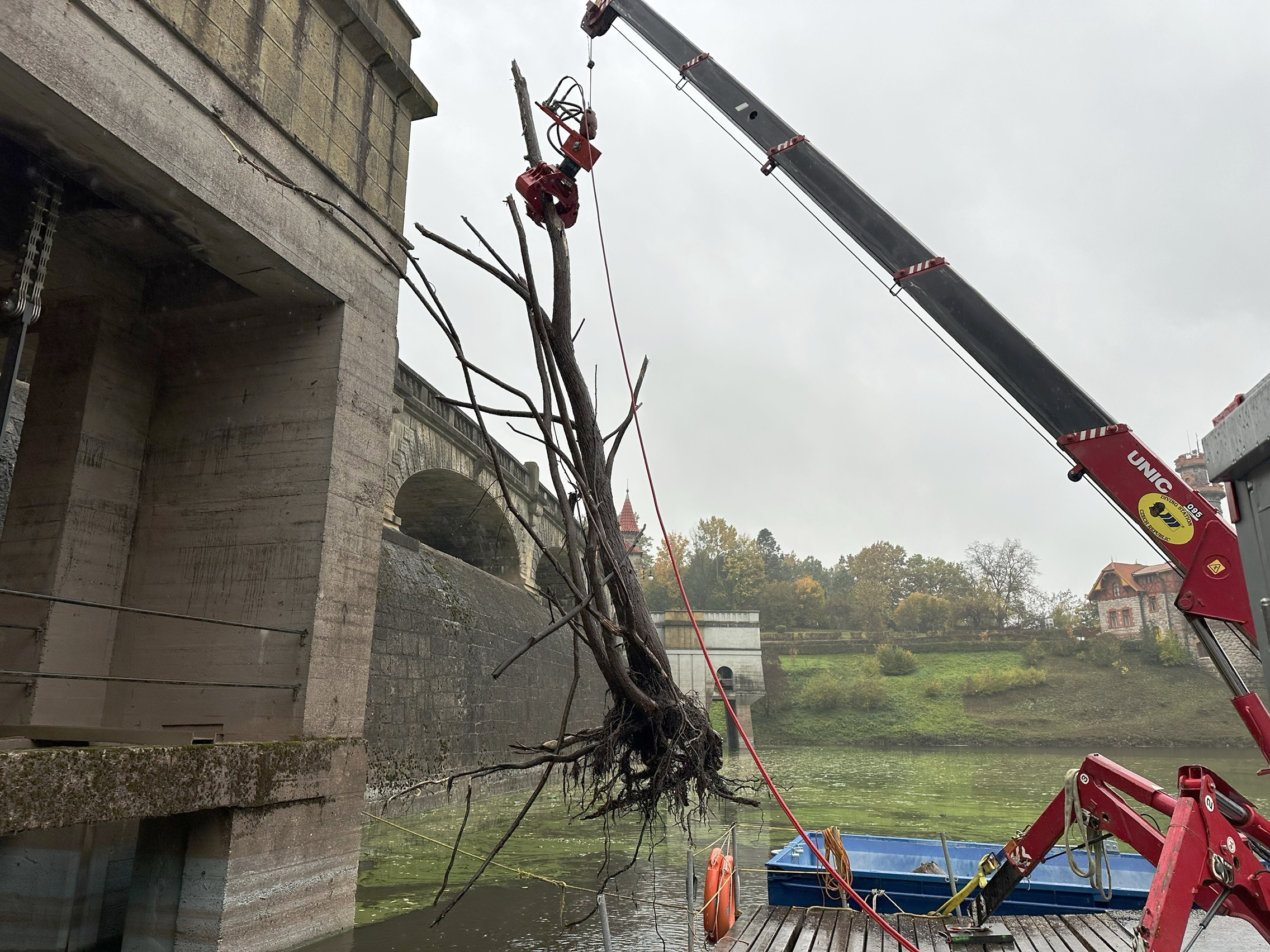 Odstraňování stromu 